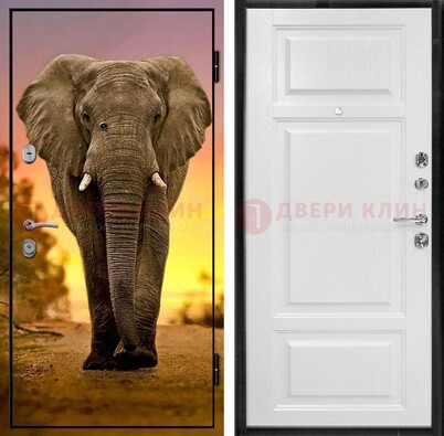 Металлическая дверь с фотопечатью слона ДФ-30 в Краснознаменске