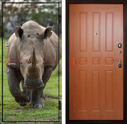 Металлическая дверь с фотопечатью носорога ДФ-31 в Краснознаменске