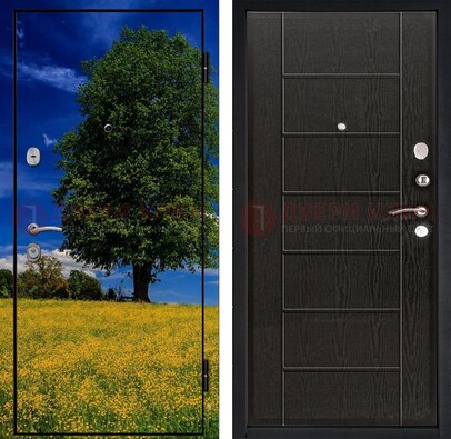 Железная дверь с фотопечатью дерева в поле ДФ-36 в Краснознаменске