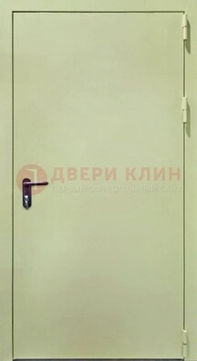 Светлая противопожарная дверь ДПП-22 в Краснознаменске