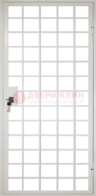 Белая металлическая решетчатая дверь ДР-2 в Краснознаменске