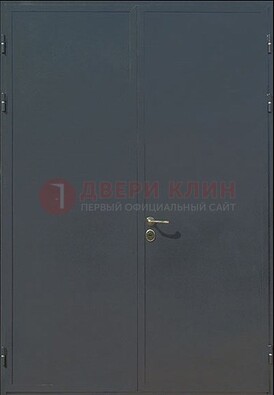 Двухстворчатая техническая дверь ДТ-5 в Краснознаменске